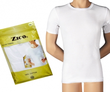 Zico (7)