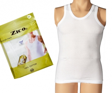 Zico (6)